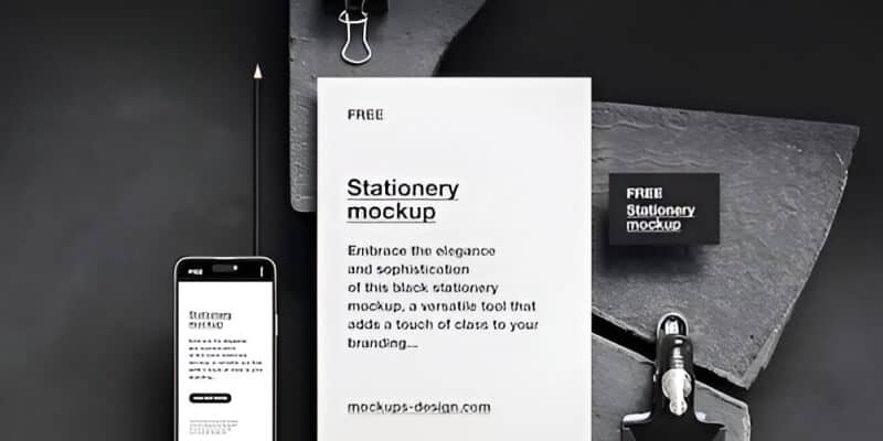 Website Development Solutions - 世界杯官网